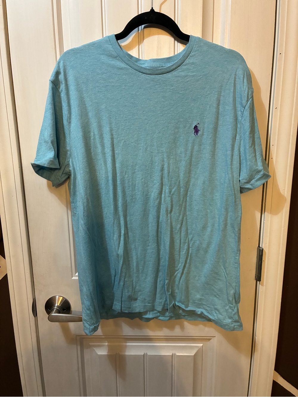 Polo by Ralph Lauren Short Sleeve Crew in Aqua with Purple Pony